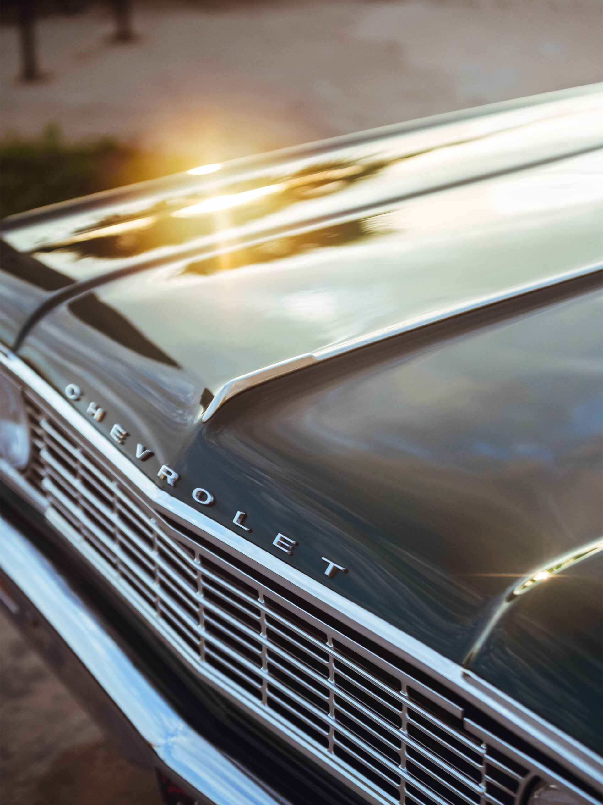 20230825_083053_0003_20240629-DSC_3564